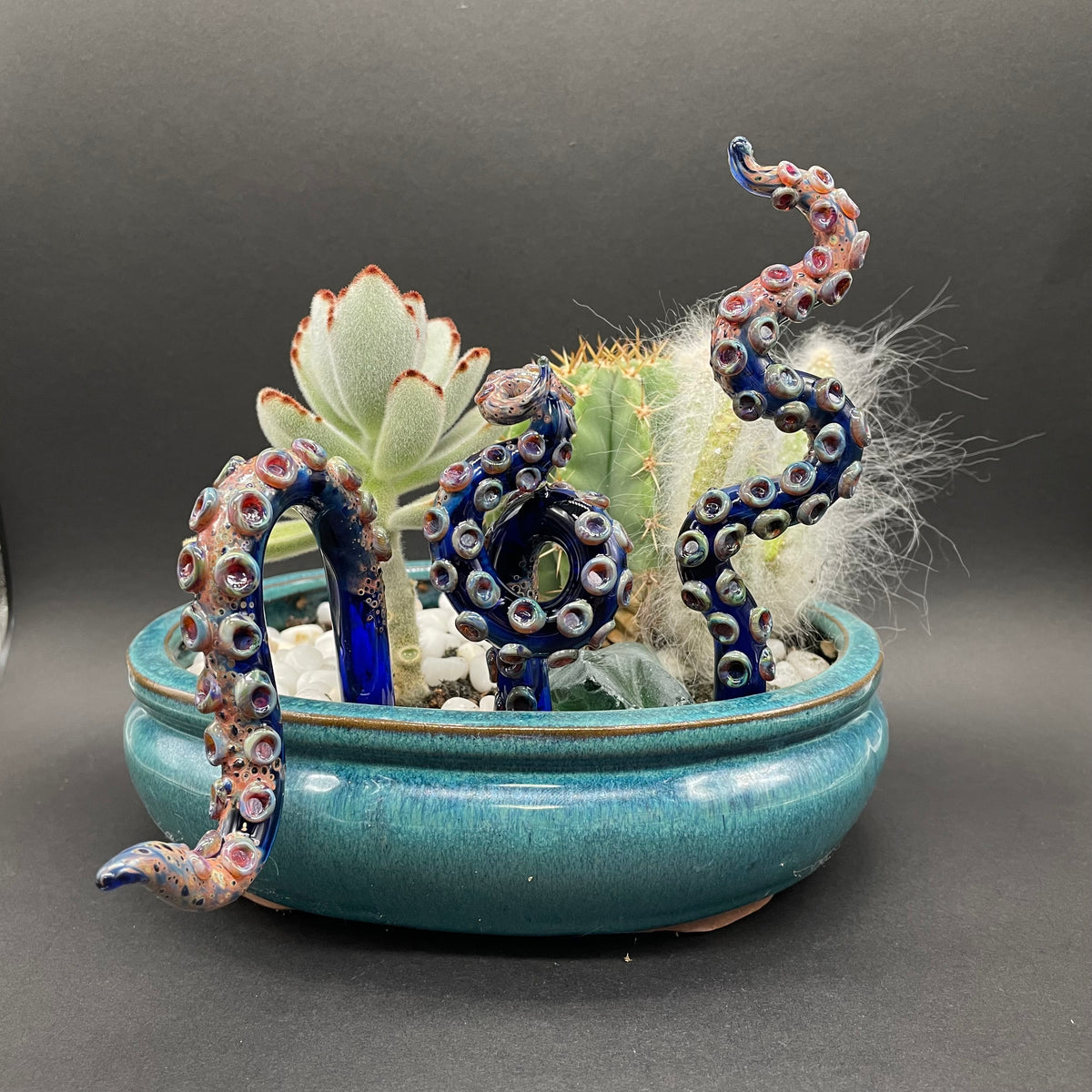 tentacle plant decoration