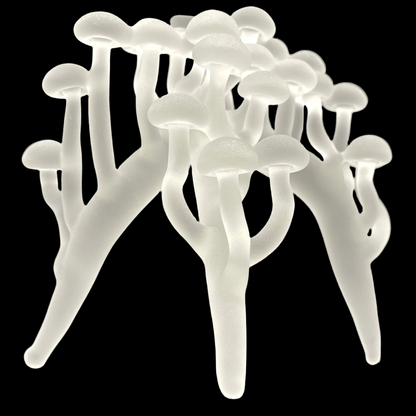 Hand-blown glass Glass mushroom sculpture by Leviathan Glass