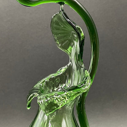 Pitcher plant