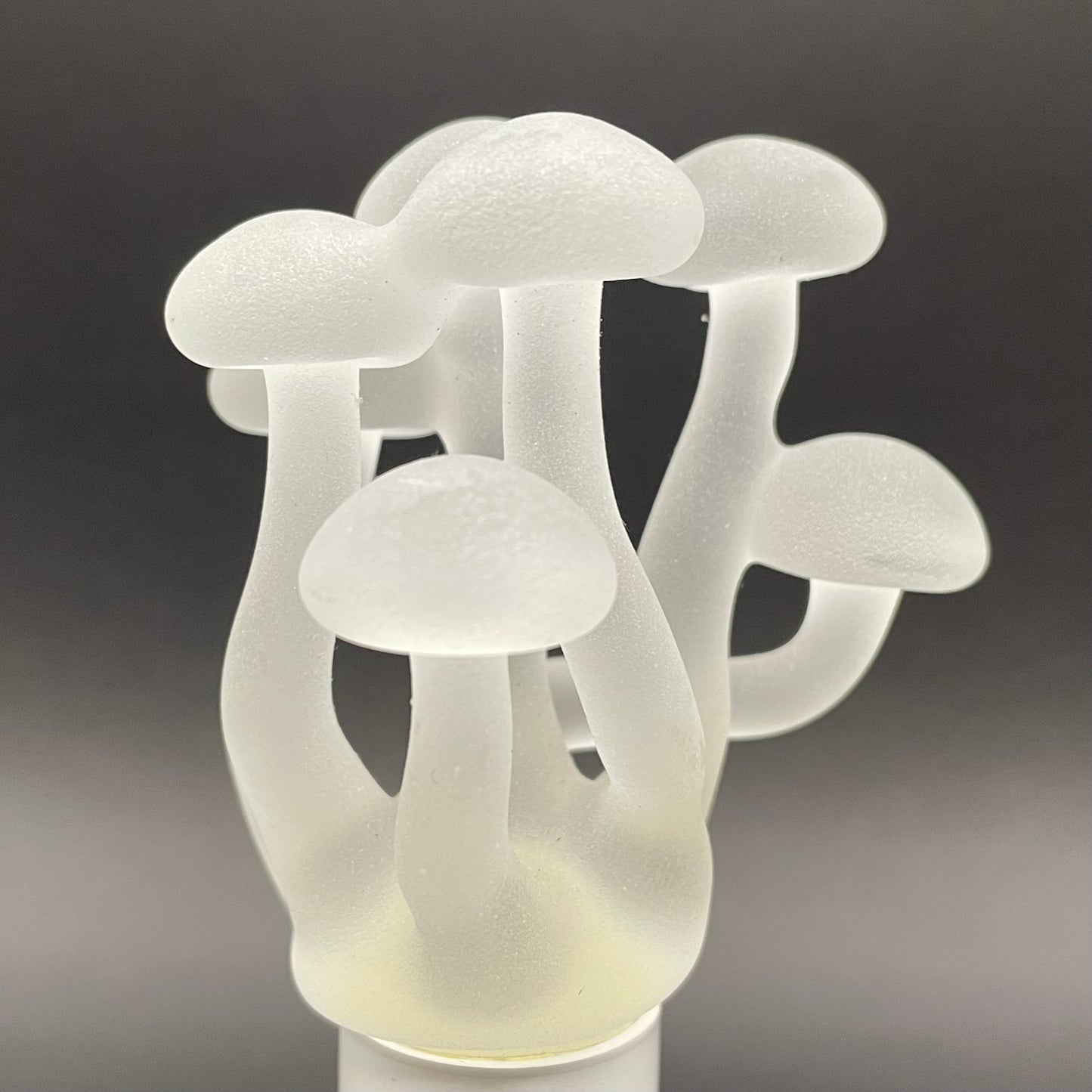 Mushroom, frosted clear glass led night light.