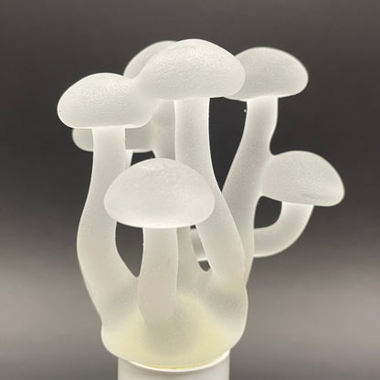 Mushroom, frosted clear glass led night light.