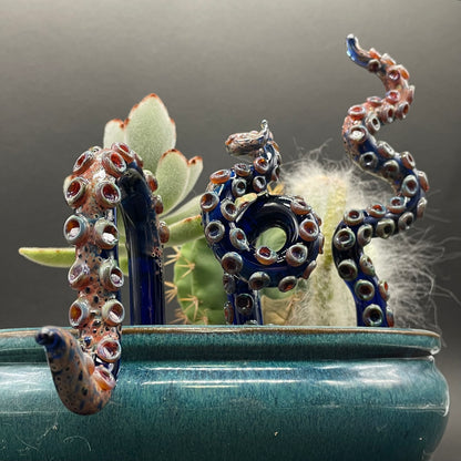 tentacle plant decoration