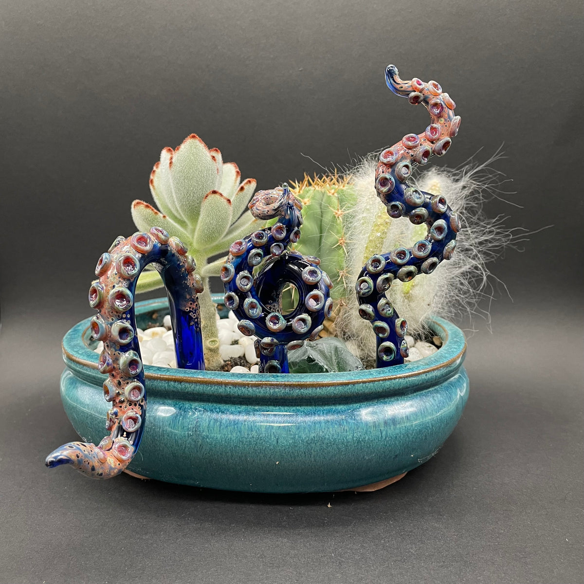 tentacle plant decoration
