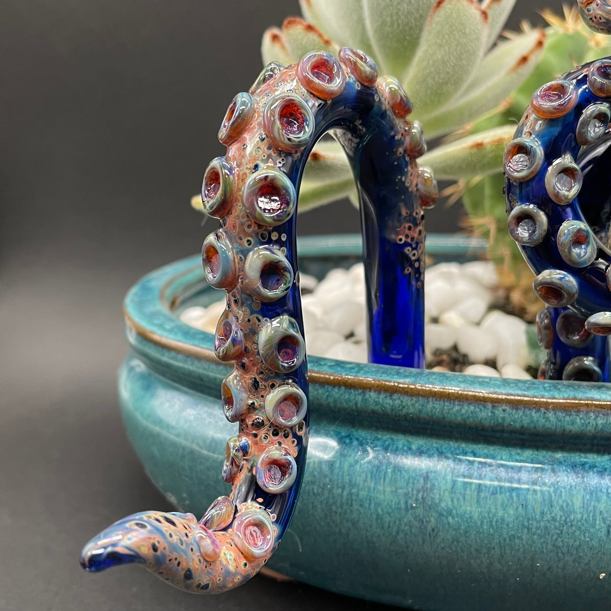 tentacle plant decoration