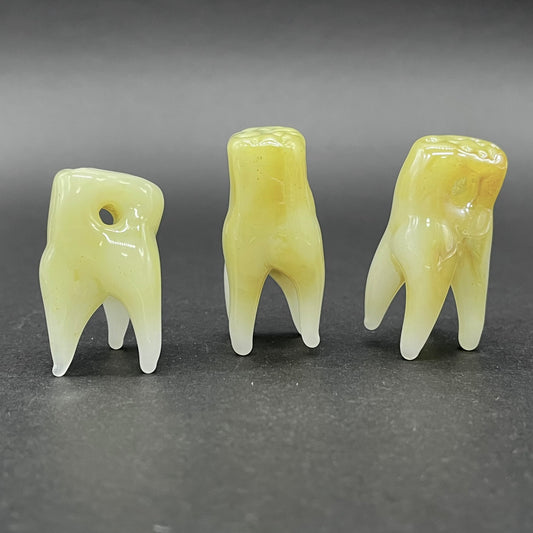 3 glass tooth beads detail view - premium glass art