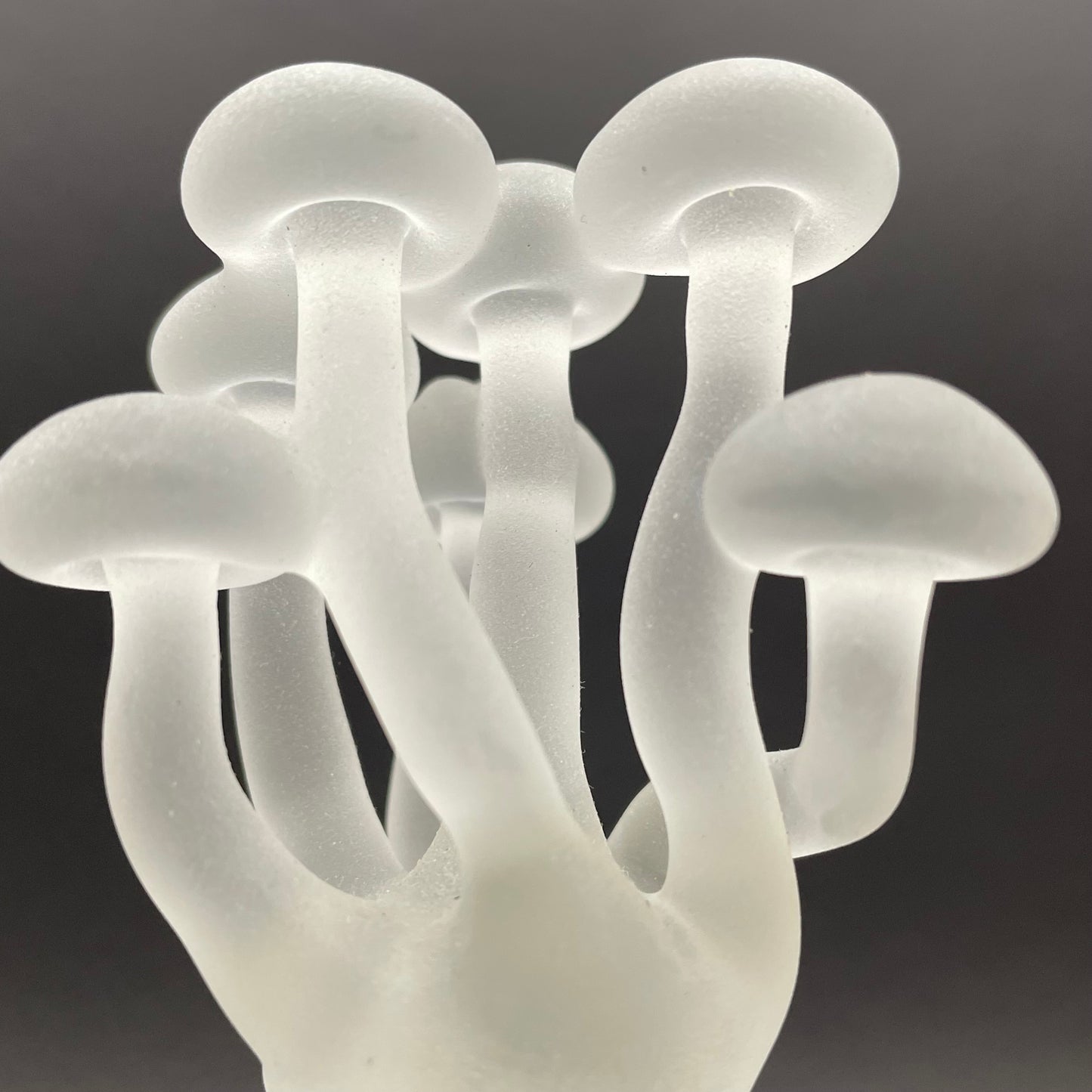 Mushroom, frosted clear glass led night light.