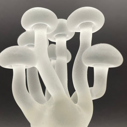 Mushroom, frosted clear glass led night light.