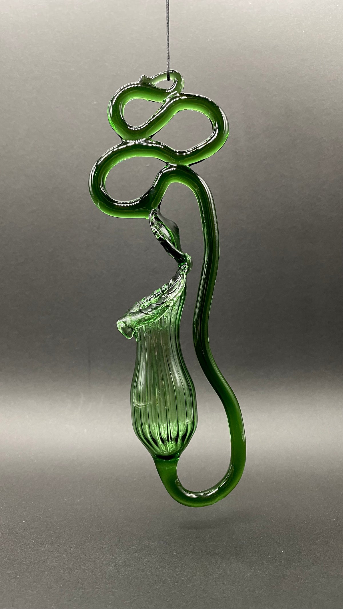 Leviathan Glass Pitcher plant - hand-blown art