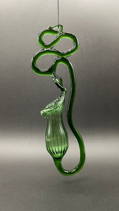 Leviathan Glass Pitcher plant - hand-blown art