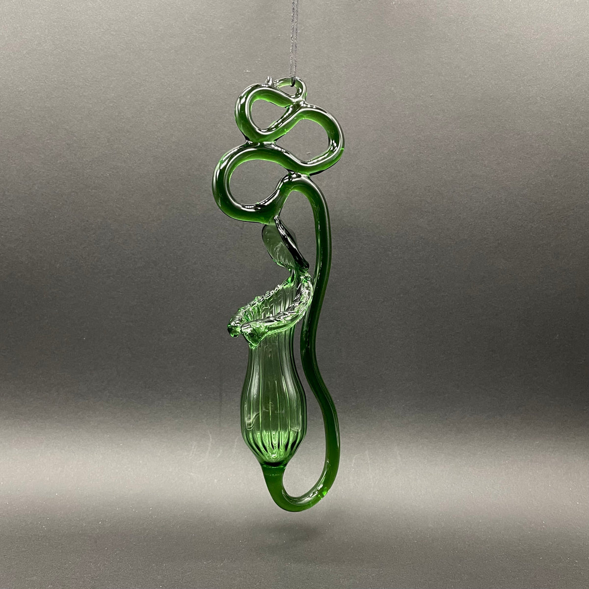 Hand-blown glass Pitcher plant by Leviathan Glass
