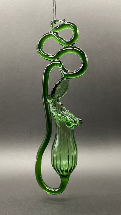 Premium Pitcher plant - collectible glass art