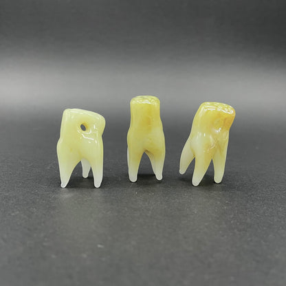 Hand-blown glass 3 glass tooth beads by Leviathan Glass