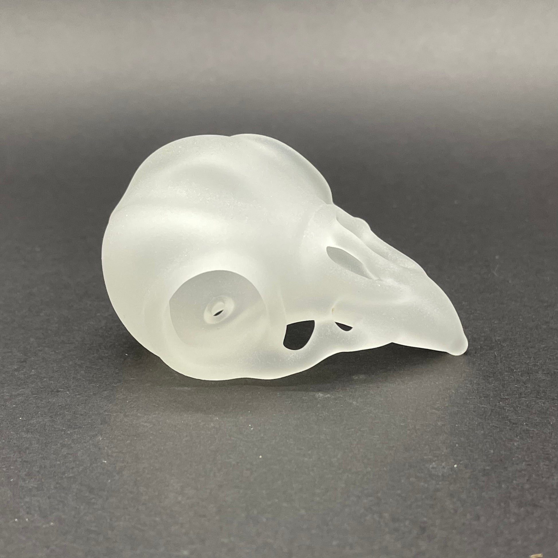 Leviathan Glass Crow skull - hand-blown art