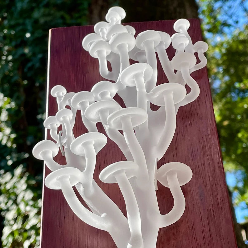 Leviathan Glass Mushroom wall sculpture - hand-blown art