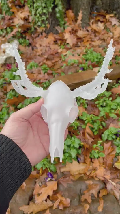 Tentacle skull